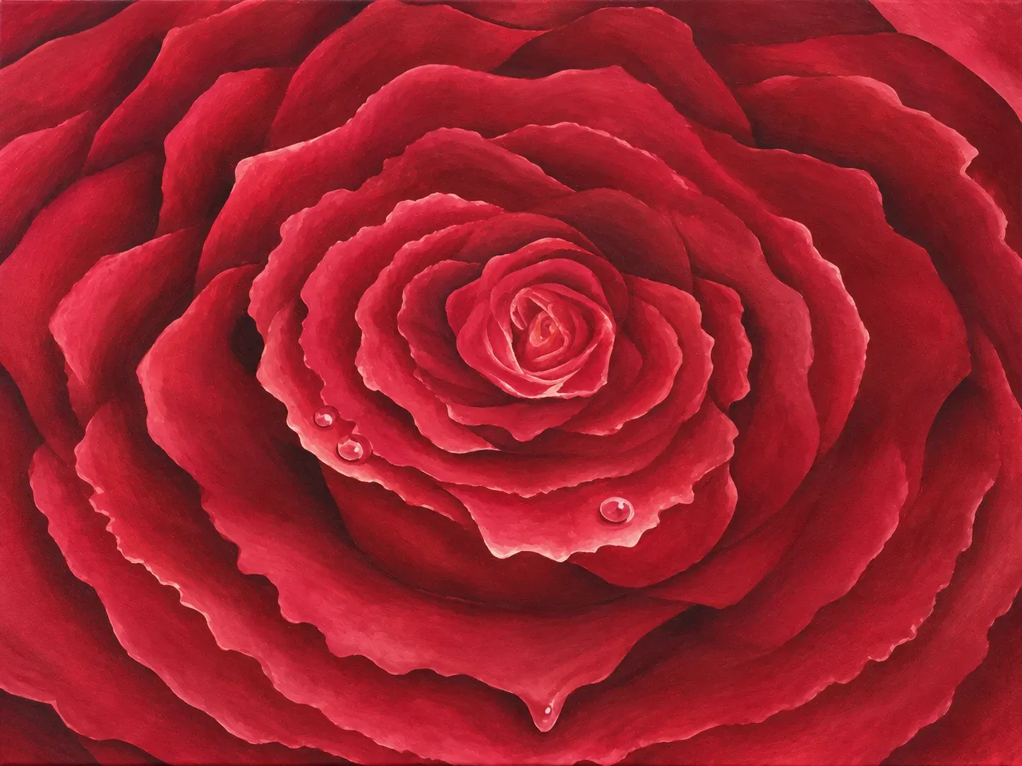 The Ever-Unfolding Rose of Family