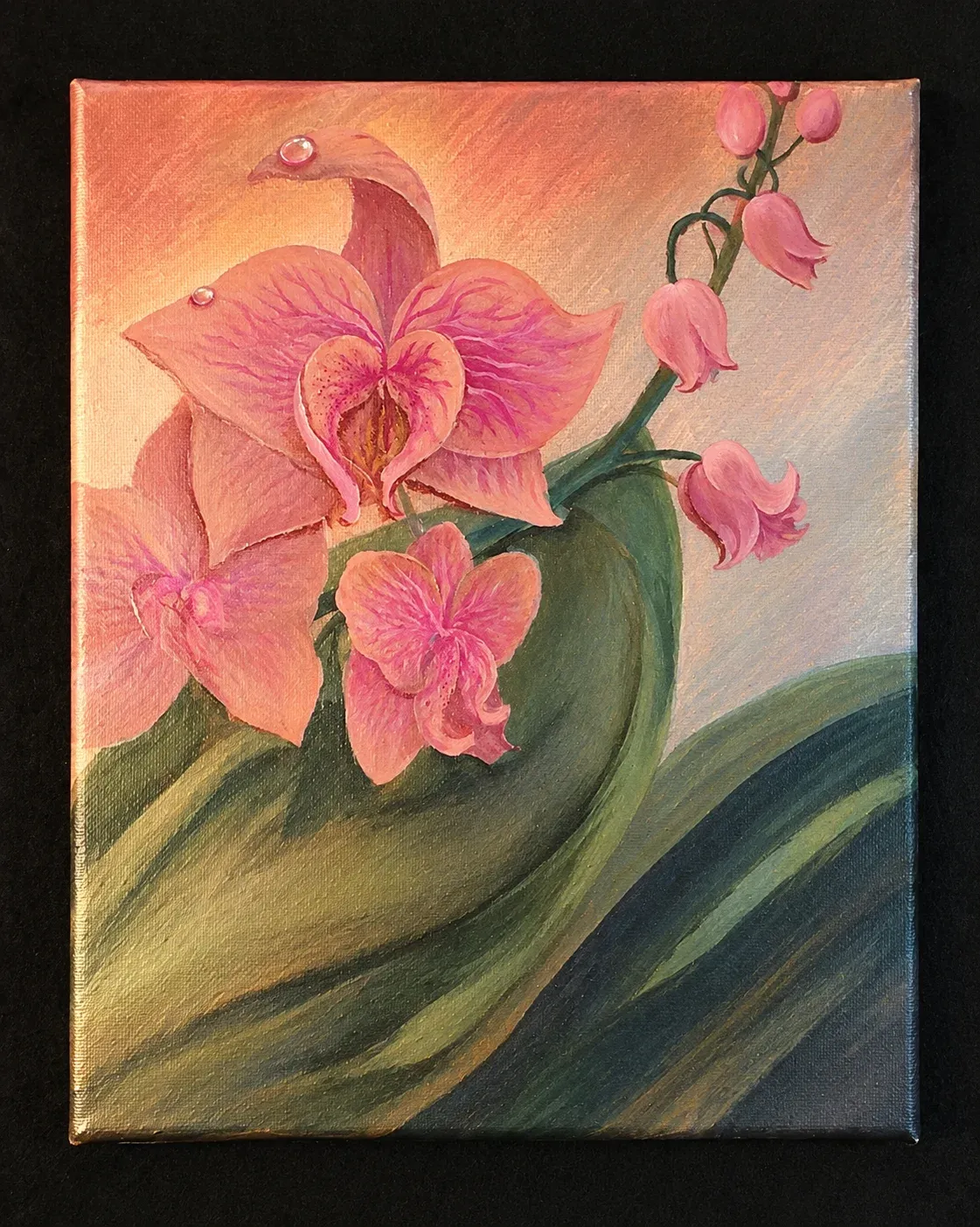 Sunrise Orchid