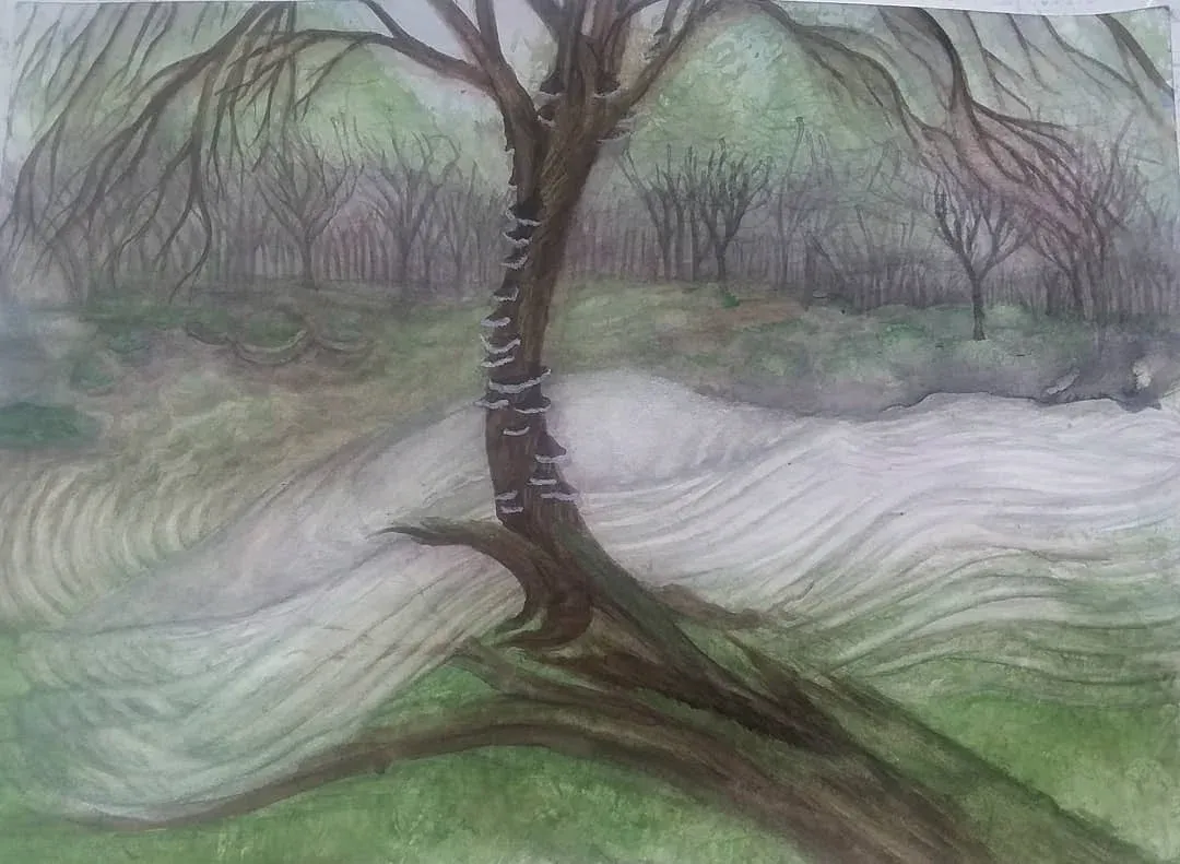 A Faeries Staircase