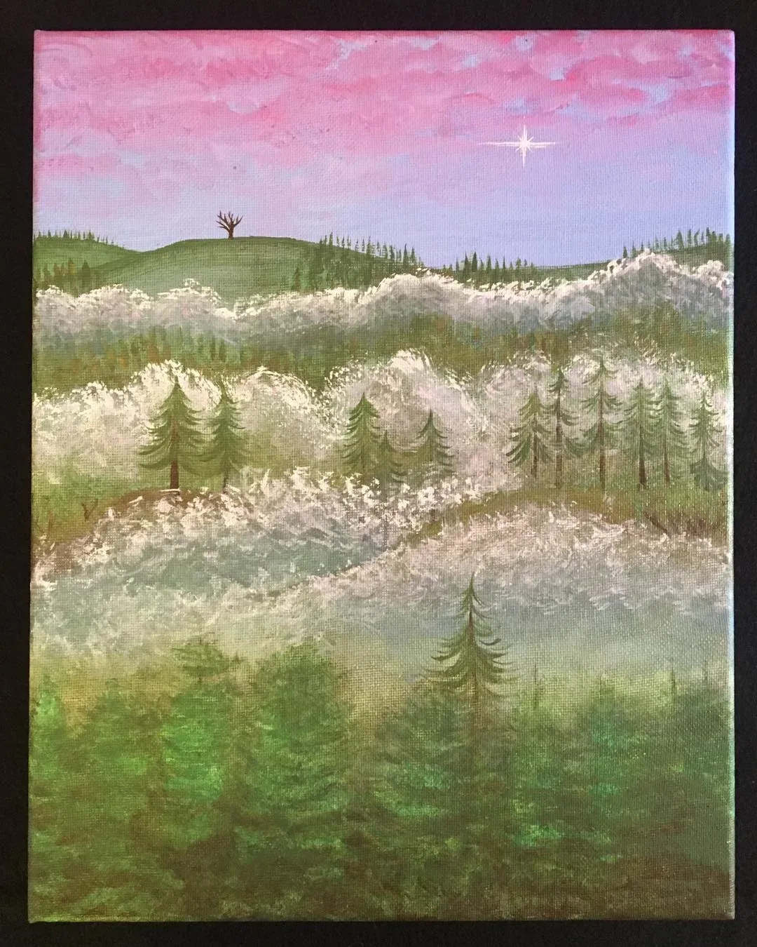 PNW landscape, artistic, colorful, unique Cedar tree Star fog