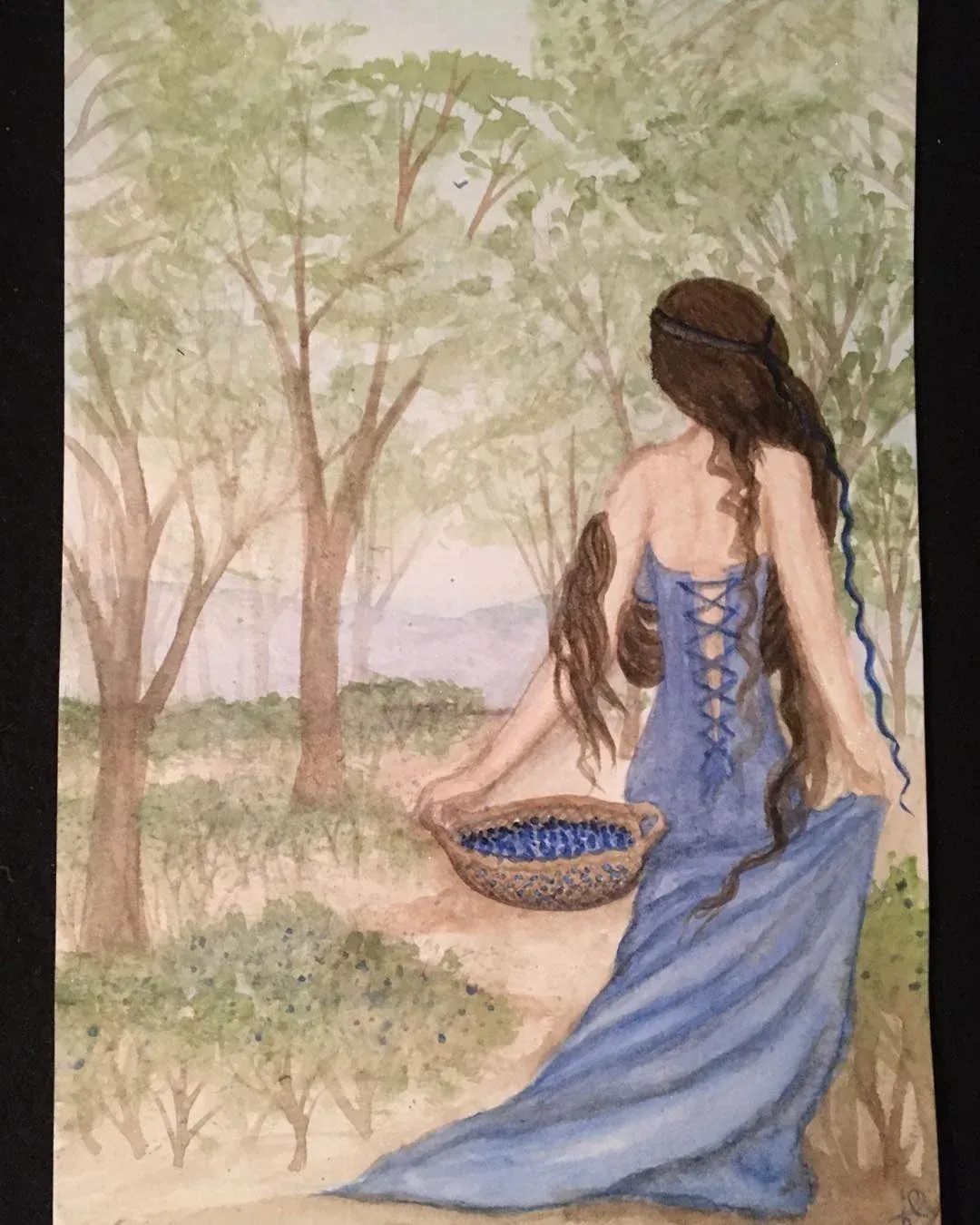 A maiden picks Blue Berries